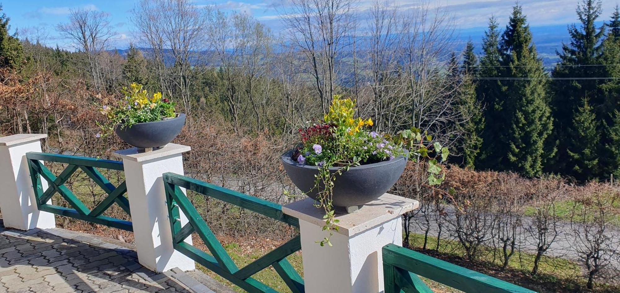 Chalet St Lorenzen Eibiswald Extérieur photo