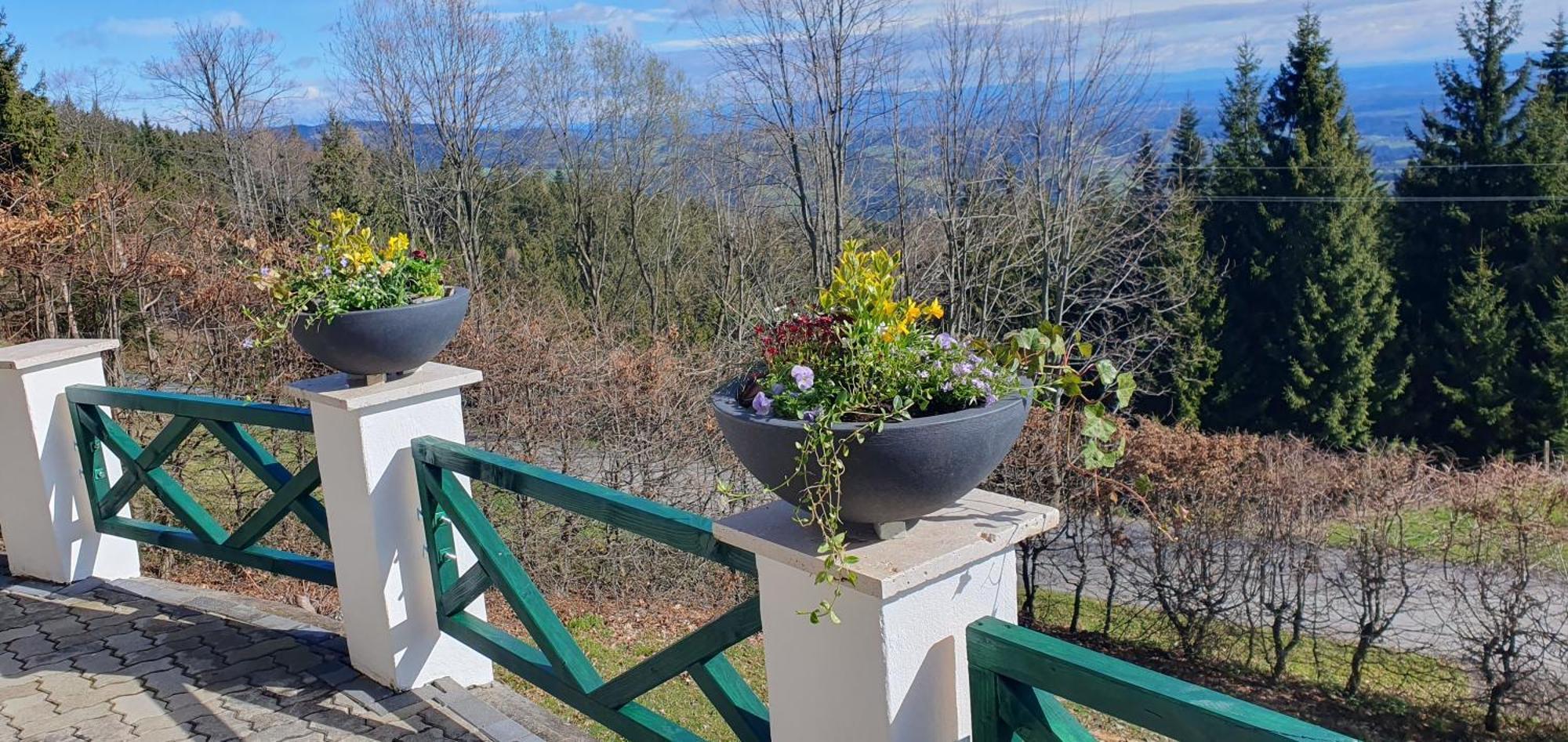 Villa Chalet St Lorenzen à Eibiswald Extérieur photo